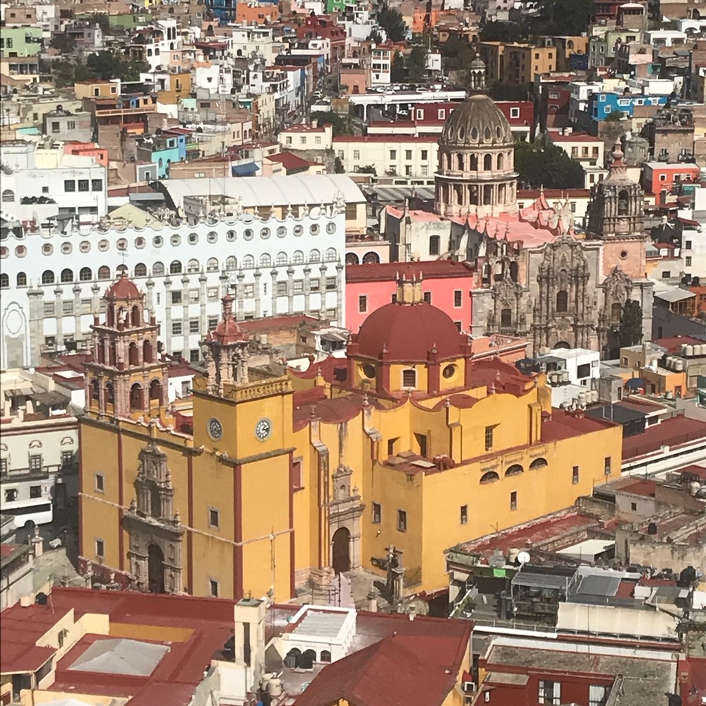 Meet your Posher, Irma